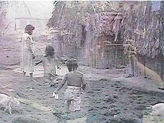 Fot&oacute;grafo por un dia